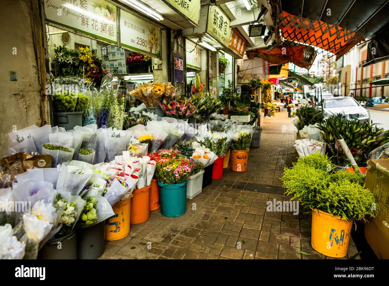 Flower + Bird Market — Mong Kok